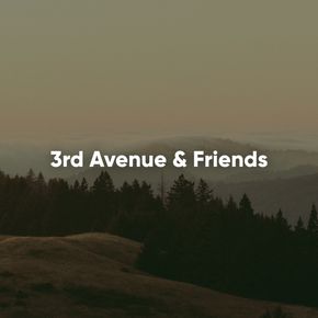 3rd Avenue & Friends