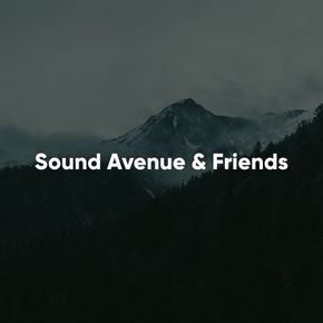 Sound Avenue & Friends